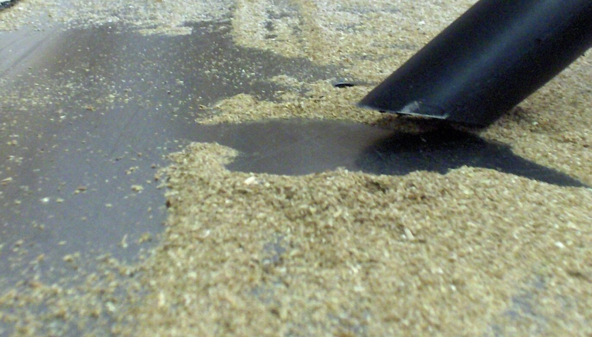 Ting du bør vite om farlig støv